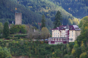 Отель Hotel Schloss Hornberg  Хорнберг